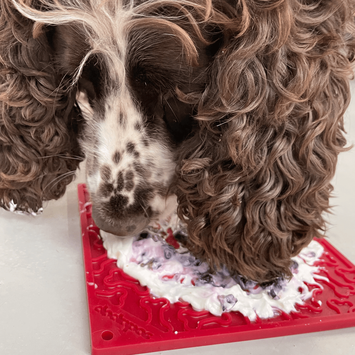 Bones eMat Enrichment Lick Mat-Slow Feeder-Rover Pet Products