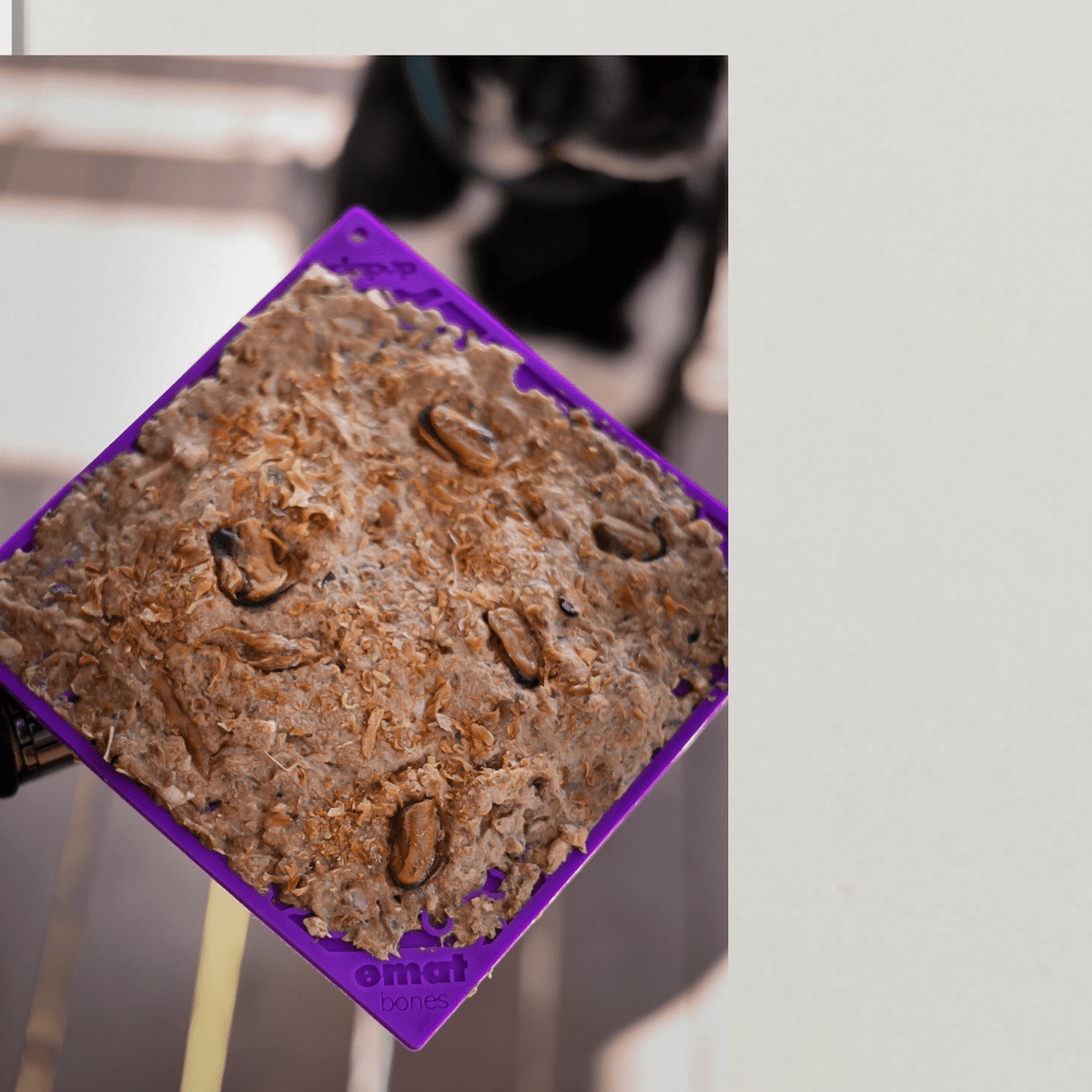 Bones eMat Enrichment Lick Mat-Slow Feeder-Rover Pet Products