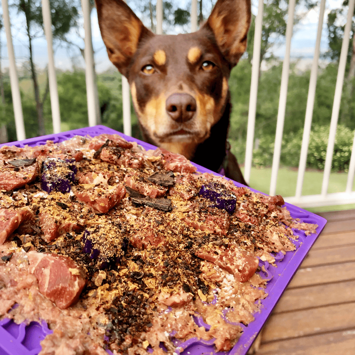Bones eMat Enrichment Lick Mat-Slow Feeder-Rover Pet Products
