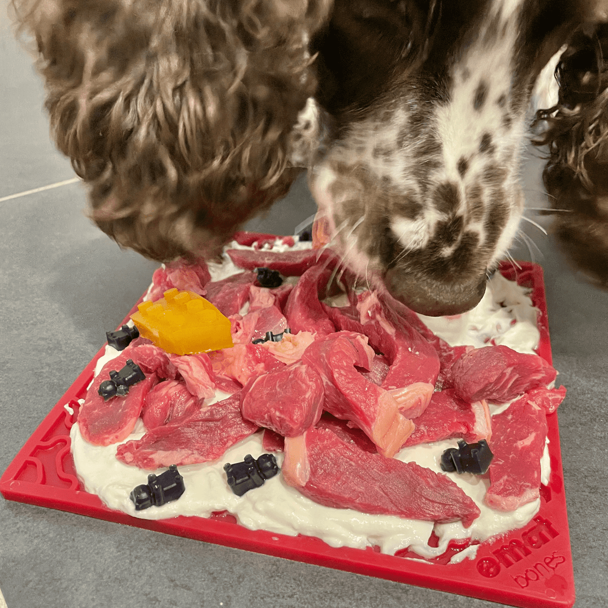 Bones eMat Enrichment Lick Mat-Slow Feeder-Rover Pet Products