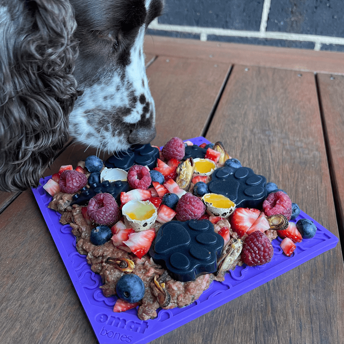 Bones eMat Enrichment Lick Mat-Slow Feeder-Rover Pet Products