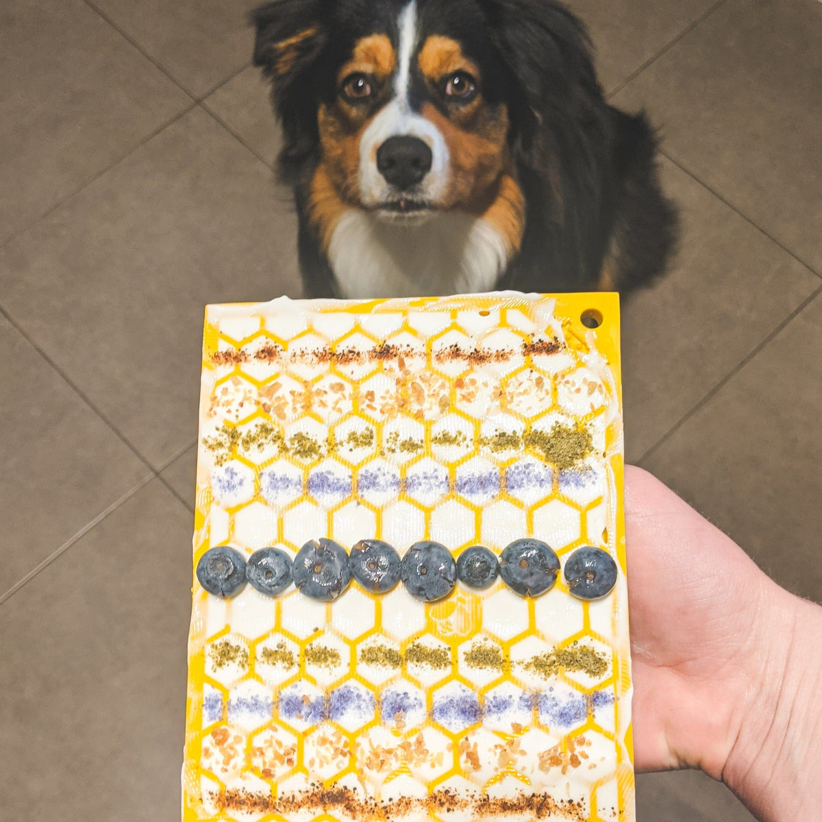 Honeycomb eMat Enrichment Lick Mat-Slow Feeder-Rover Pet Products