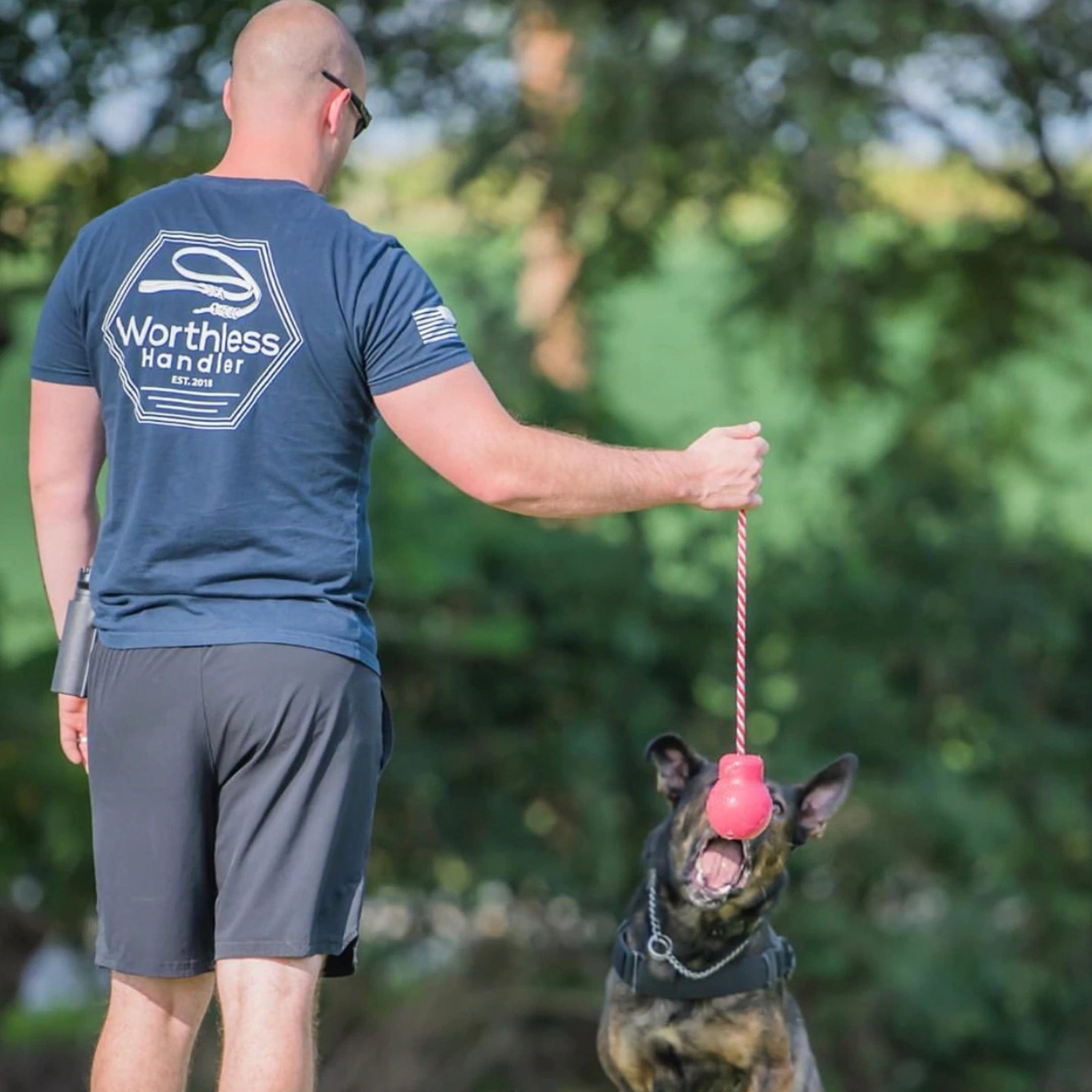 Skull Reward Toy-Dog Toy-Rover Pet Products