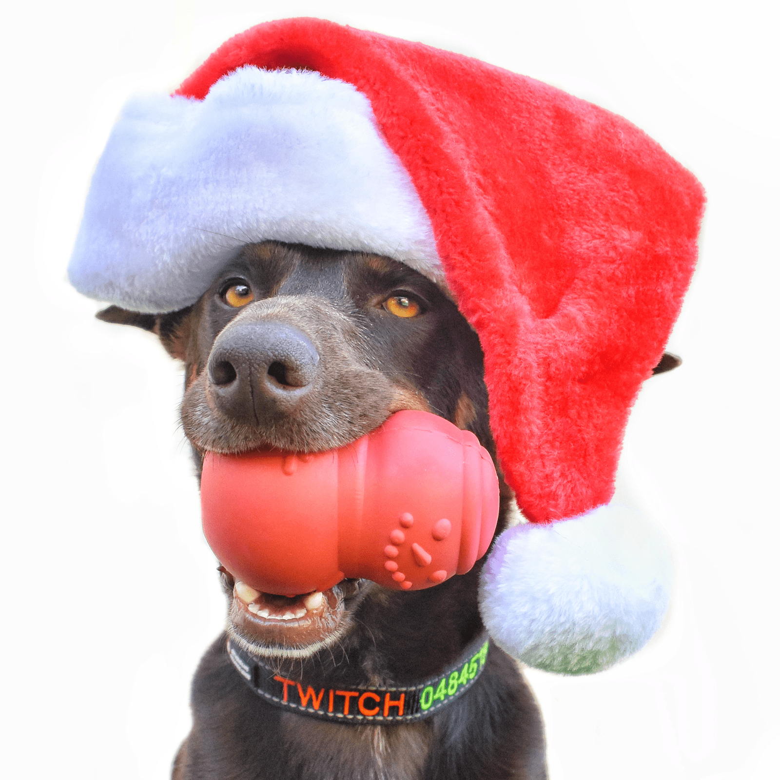 Snowman-Dog Toy-Rover Pet Products