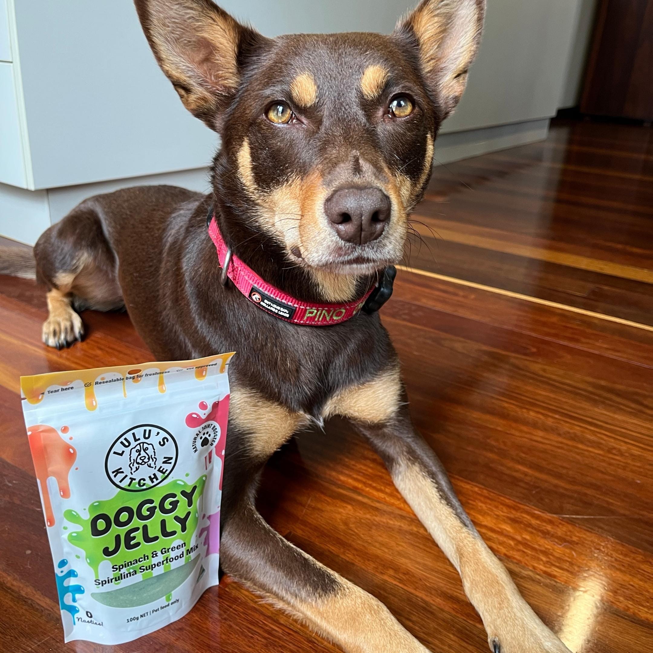 Spinach & Green Spirulina Superfood Jelly-Doggy Jelly-Rover Pet Products