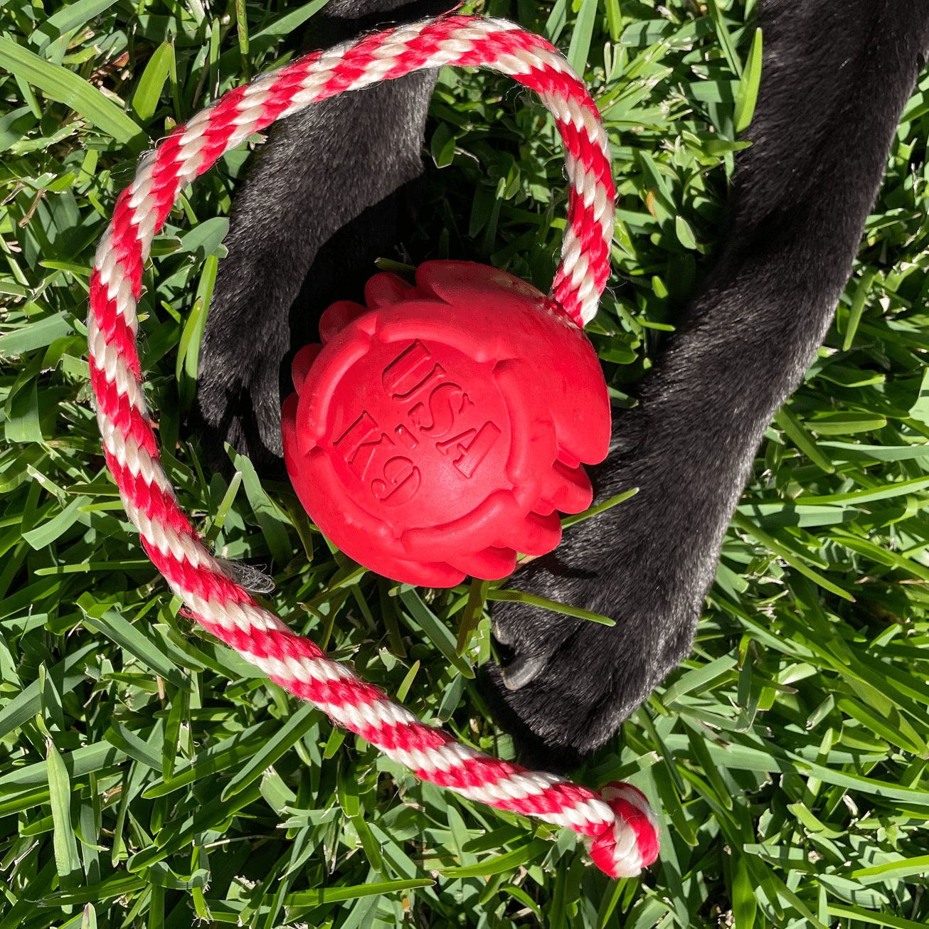 Stars & Stripes Ball Reward Toy-Dog Toy-Rover Pet Products