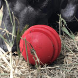 Stars & Stripes Ball-Dog Toy-Rover Pet Products