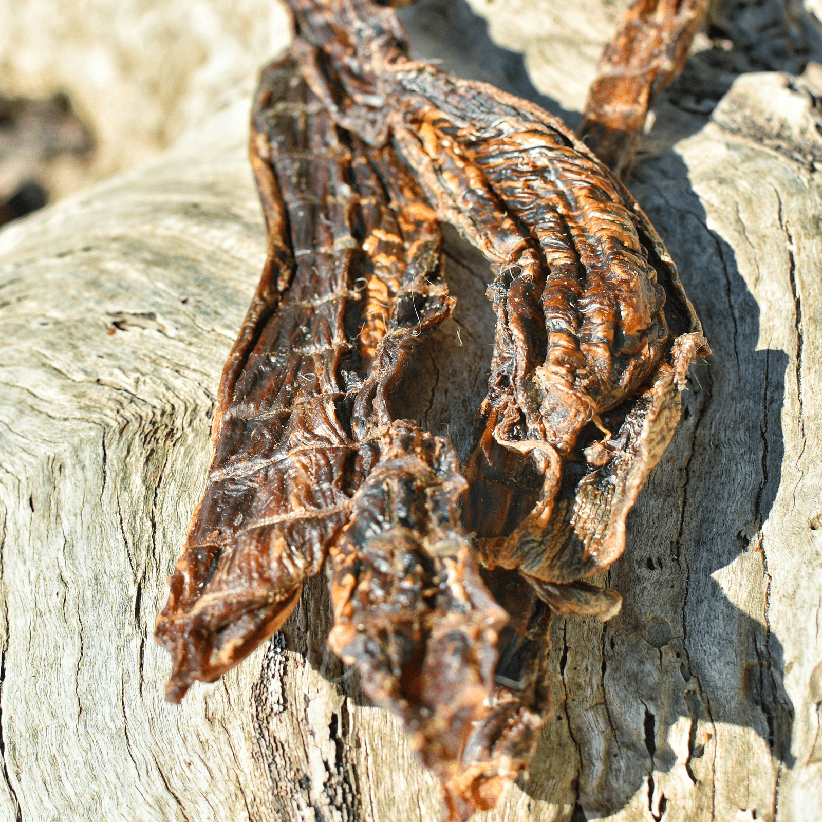 STOP! Jerky Time! - Kangaroo Jerky-Dog Treat-Rover Pet Products