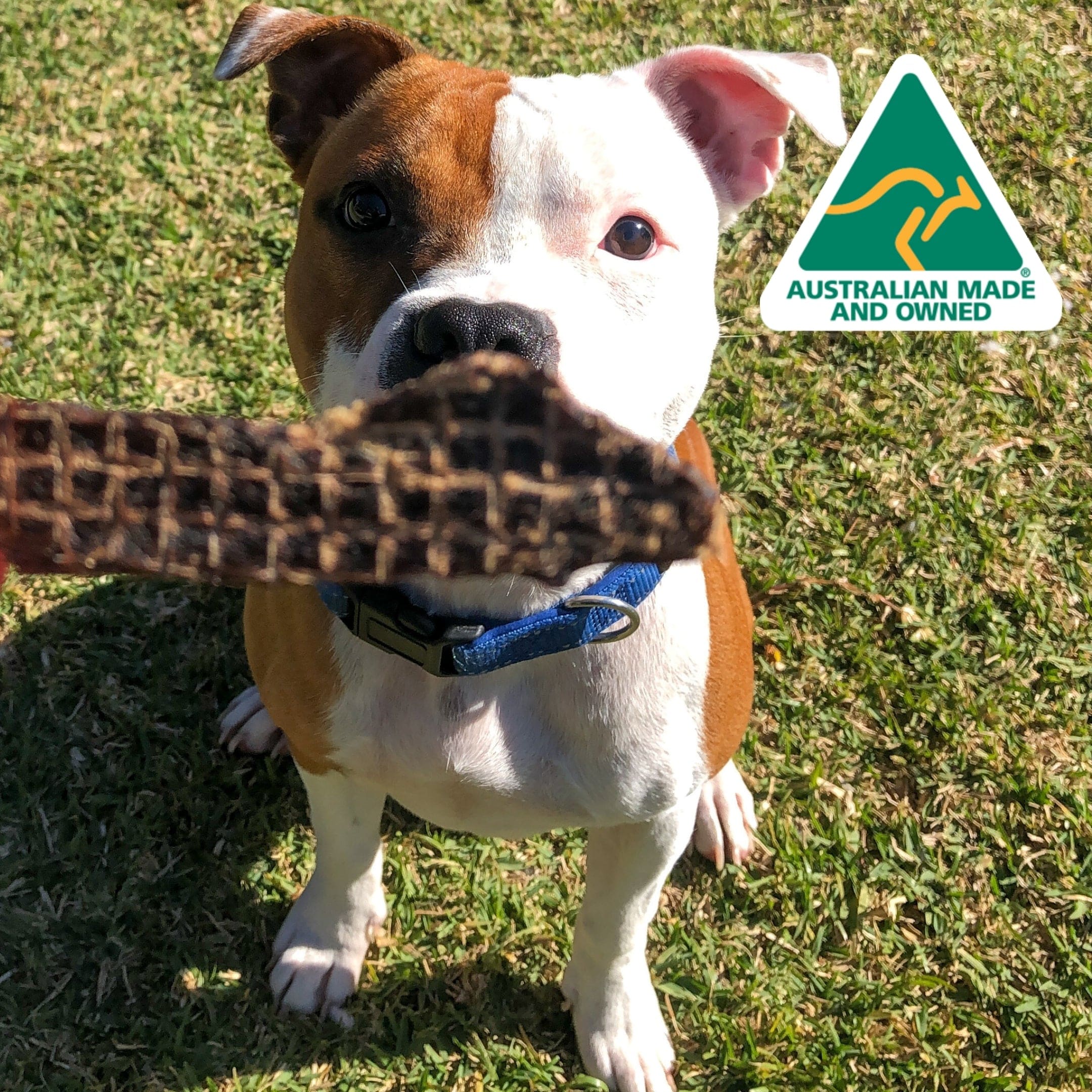 STOP! Jerky Time! - Kangaroo Jerky-Dog Treat-Rover Pet Products