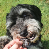 Strawberry Superfood Jelly-Doggy Jelly-Rover Pet Products