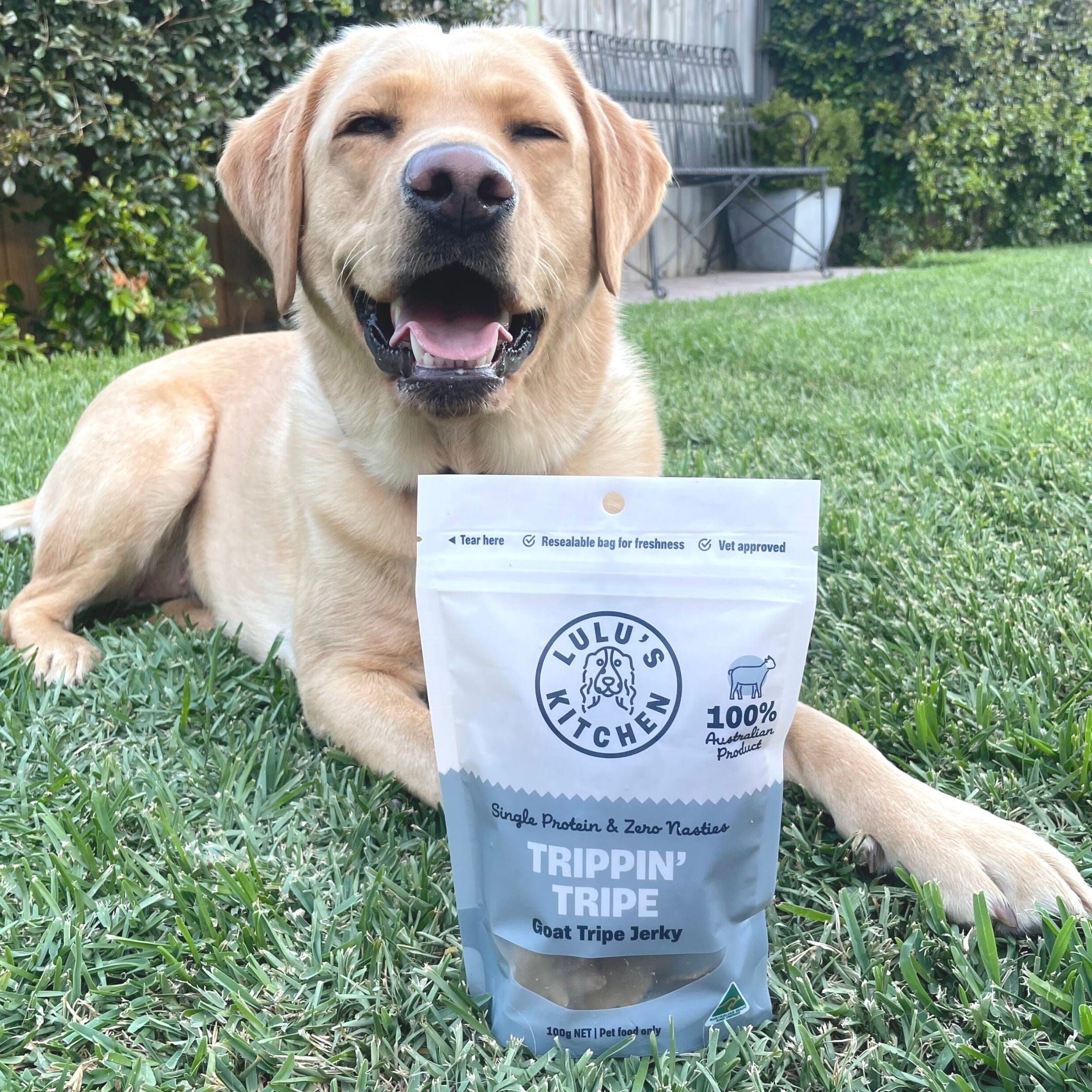 Trippn’ Tripe - Goat Tripe-Dog Treat-Rover Pet Products