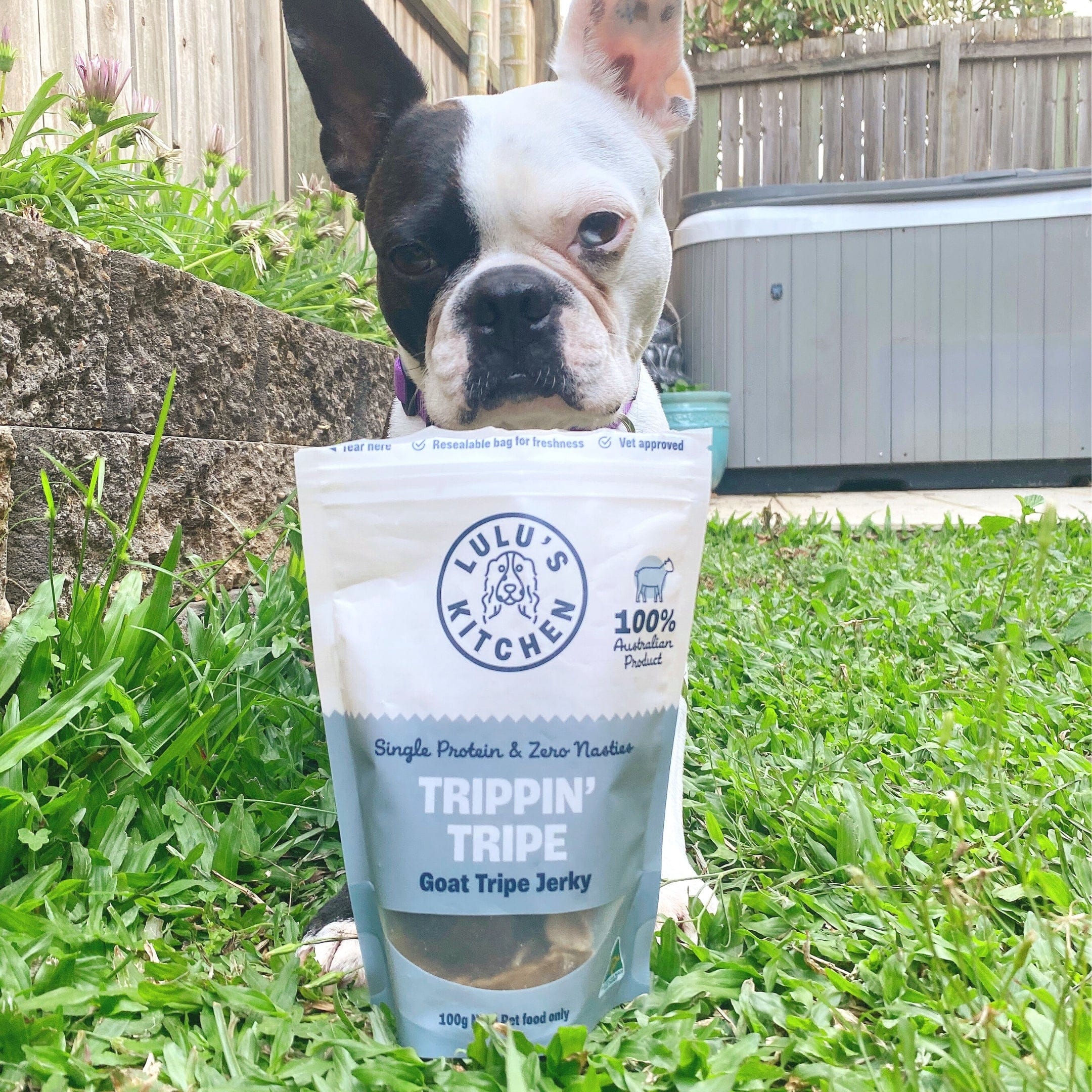 Trippn’ Tripe - Goat Tripe-Dog Treat-Rover Pet Products