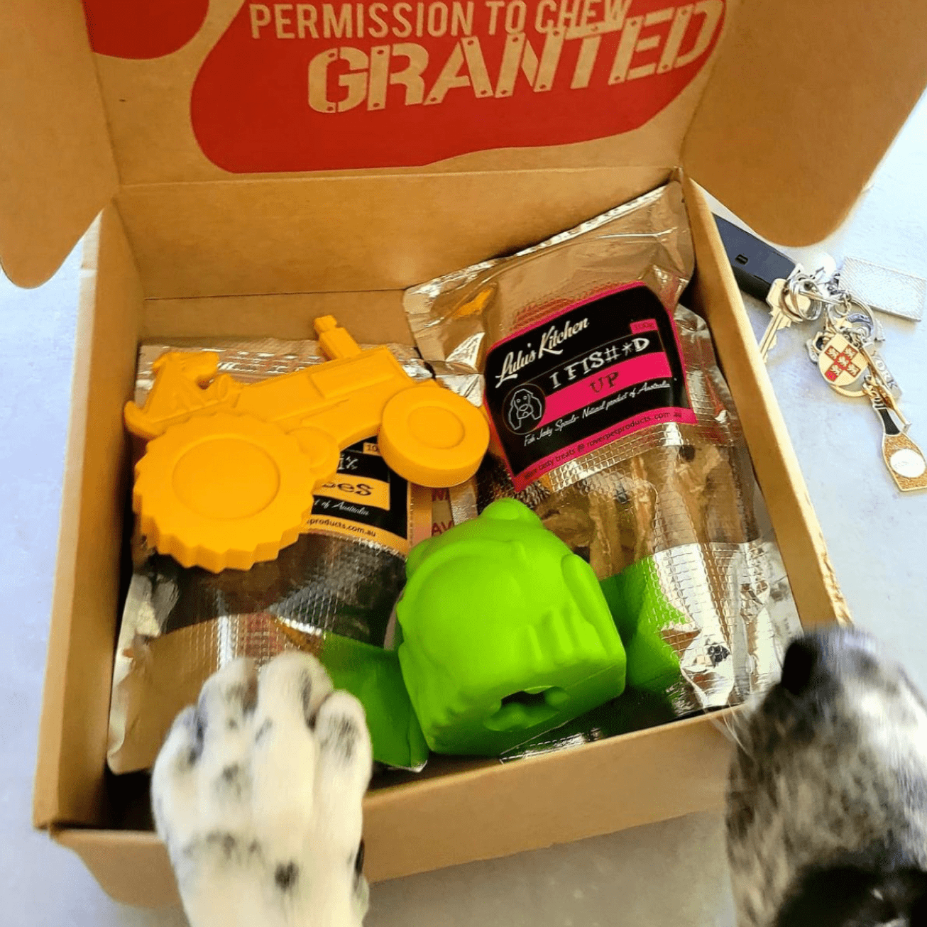 Tuff Dog Subscription-Rover Pet Products