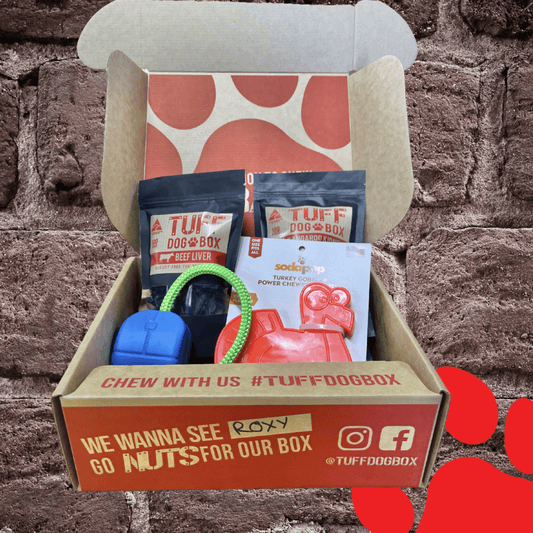 Aussie Subscription Box - the TUFF DOG BOX