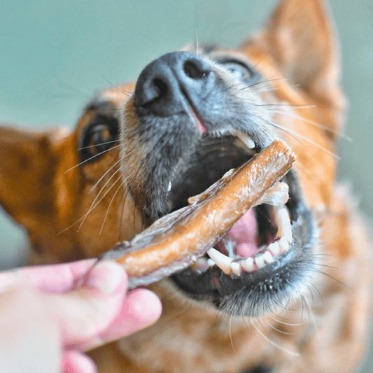 Treat Box - One Off & Subscription